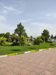 بوستان فجر (نیلوفر آبی) 4