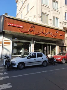 گروه طراحان نگین