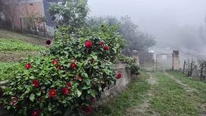 اقامتگاه میشکا