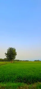 بقعه آقا سید حسین تجن گوکه