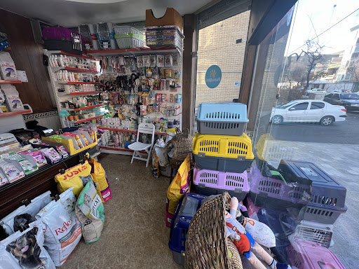 پتشاپ پارادایس