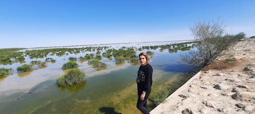 Incheboron Wetlands