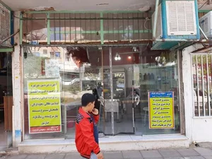 سبزی آماده گل پونه