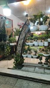 گلفروشی سوسن