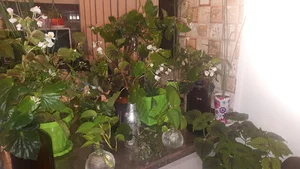 ورزشگاه