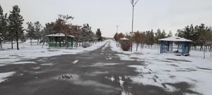 بوستان سبزه زار 2