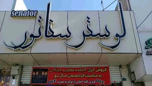 لوستر سناتور