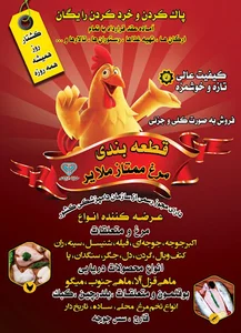 قطعه بندی مرغ و گوشت ممتاز ملایر