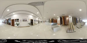 آریا بارون توس
