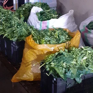 پخت روزانه سبزی قورمه 3
