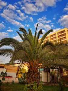 اتحادیه شرکتهای تعاونی روستایی شهرستان اهواز