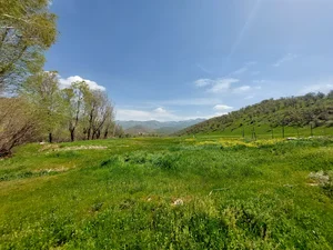 غار شوی