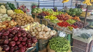 میوه فروشی خانزاده عمرانی