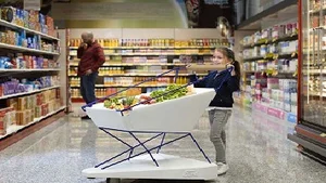 فروشگاه افصحی