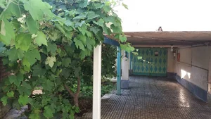 سرای طاها هستم