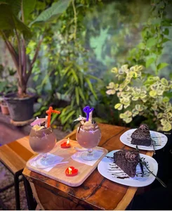 کافه نوئل (Coffe Noel)