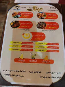 شاندیز صفدری