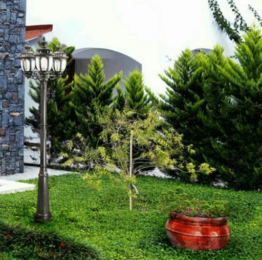 الکتریکی شیخی