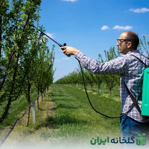 درخت فروشی علی خروس