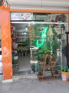 گل آریا