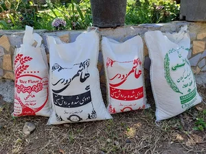 شرکت برزه بال