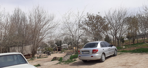 سبزی فروشی
