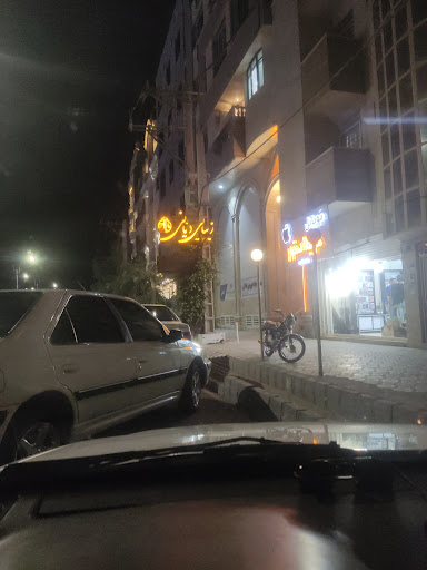 آکادمی انیس دیانی