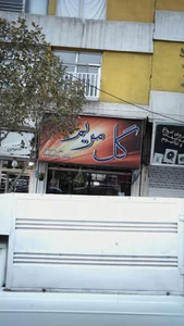 گل مریم 4