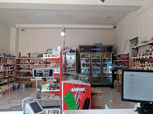 جامی