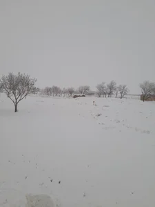 موسسه رادیولوژی و سونوگرافی امید