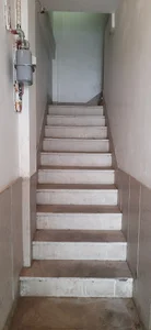 آشیانه