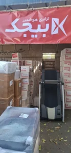 بیجک 2
