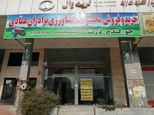 مرکز خرید محصولات کشاورزی عمادی جو گندم ارزن خرفه قدومه