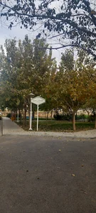 بوستان محیا