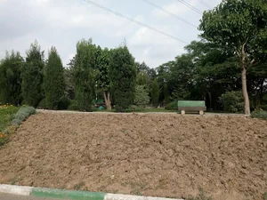 بوستان کارن