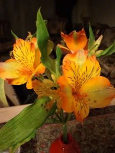 مرکز مشاوره عرفا