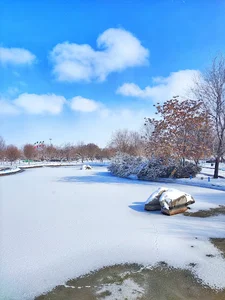 بوستان رجا