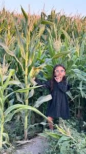 باغ بلال عزیزی
