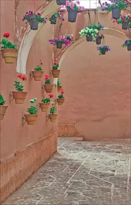 کوچه بنفشه چهارم