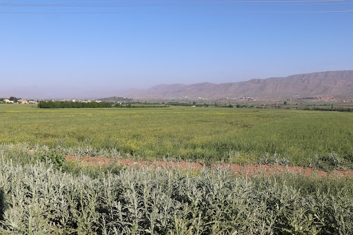 کارخانه رب دشت بهار