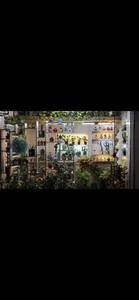 فروش گیاهان گوشتی و آپارتمانی کاکیلنت 2