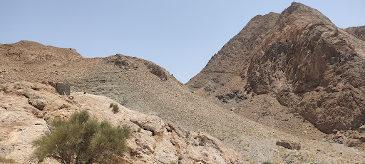 (Bidachah)بیدَ چاه