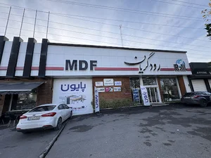 شرکت پایون