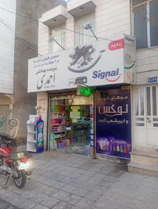 شوینده بهداشتی احمدی 3
