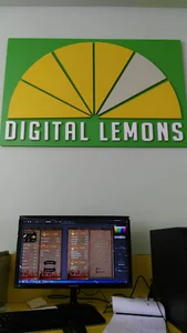 Digital Lemons