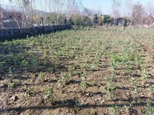کالای برق و صنعت حسینی