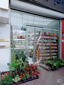 فروشگاه الماس شهر 2