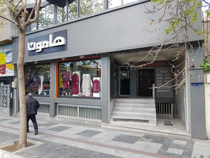 فروشگاه هامون