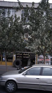 لاستیک میرزائیان 3