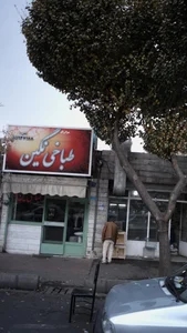 طباخی نگین